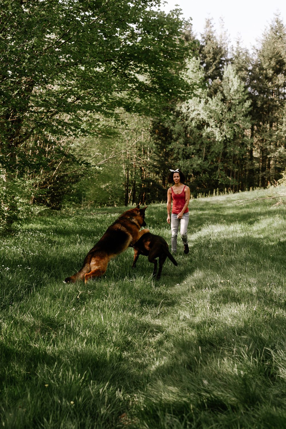 Magnifique-PensionCanine-mai2024-Auvergne-LBS-273-33-_1__1767188715 Magnifique-PensionCanine-mai2024-Auvergne-LBS-273-33-_1__1767188715.jpeg